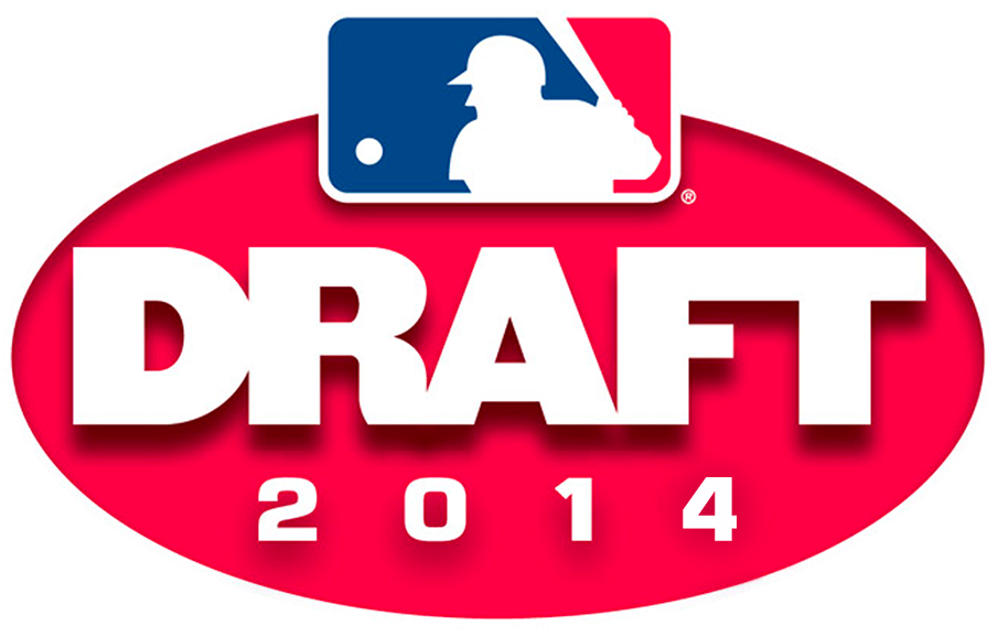 MLB Draft 2014 Primary Logo iron on transfers for clothing